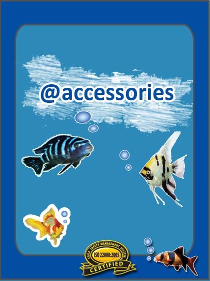 CATEGORY 4accessoriesFISH